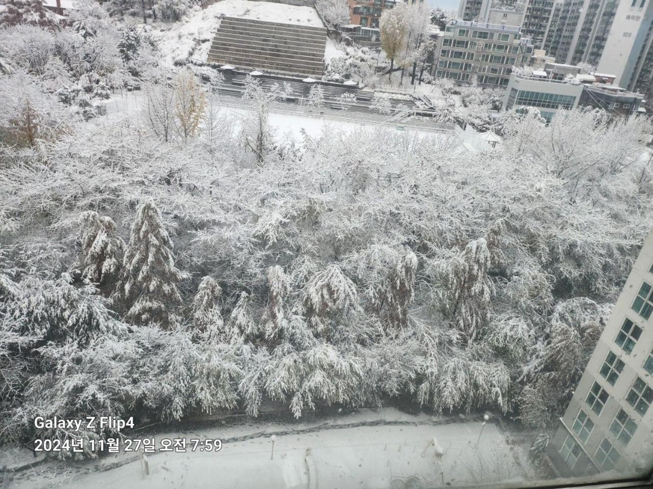 스카이코지 하우스 홈스테이 *